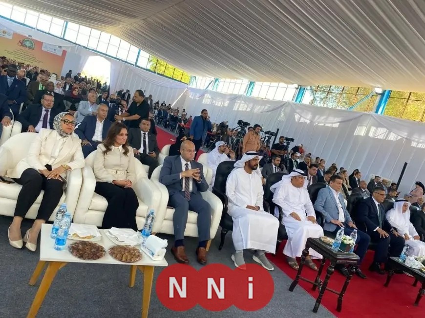 وزير الصناعة يكشف عن مشروع إنشاء أكبر مزرعة نخيل عالمية بسعة 2.3 مليون نخلة في توشكى والعوينات