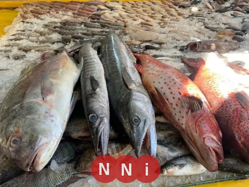 تعرف على أسعار الأسماك اليوم في سوق العبور الأحد: البلطي يبدأ من 57 جنيهًا
