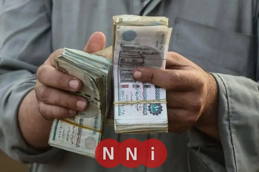 كيفية الاستعلام الإلكتروني عن قيمة قبض معاشات ديسمبر 2025 وخطوات موعد الصرف