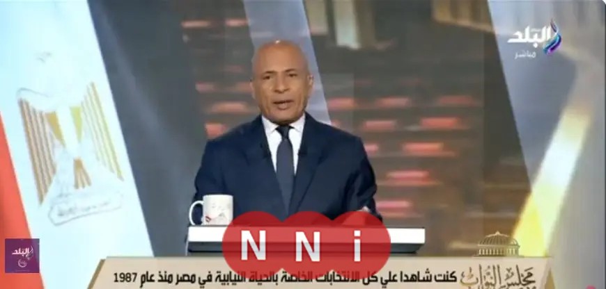 كيف تصوت في انتخابات مجلس النواب 2025 خطوة بخطوة