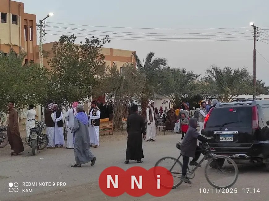 إقبال جماهيري كبير وازدحام بمحافظة الوادي الجديد خلال انتخابات النواب 2025