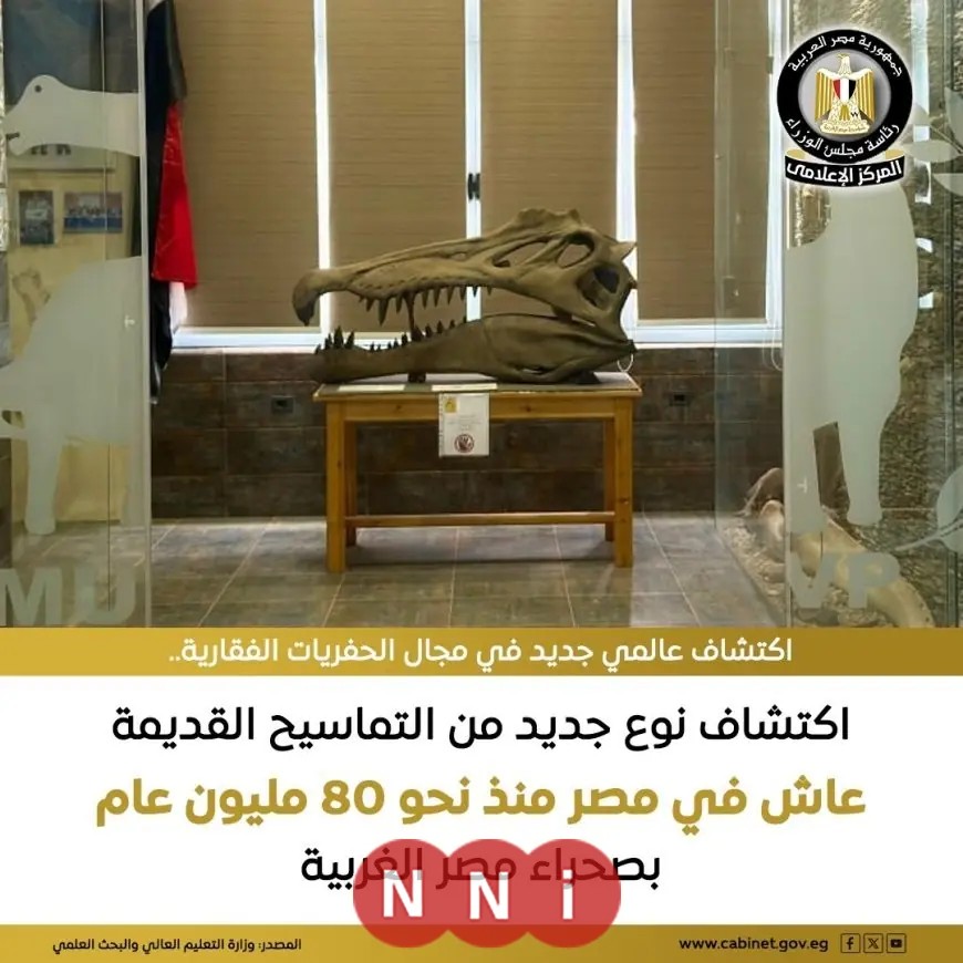 كشف مثير لنوع تمساح قديم عاش بمصر قبل 80 مليون سنة