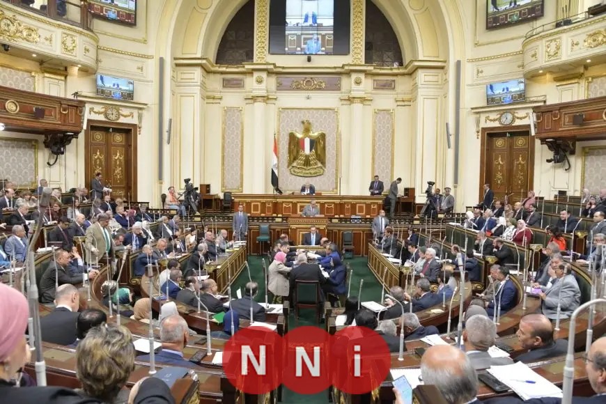 شحاتة غريب يؤكد استحالة تطبيق نظام الكوتة بدون استخدام القوائم