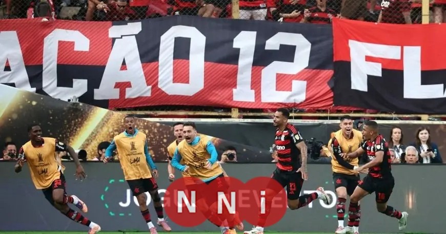 دانيلو يقود فلامنغو للفوز بكأس ليبرتادوريس في مواجهة نهائية برازيلية