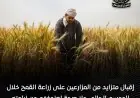 الزراعة توضح: إقبال متزايد على زراعة القمح هذا الموسم ونفي شائعات العزوف