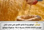 فيتش تتوقع زيادة إنتاج القمح في مصر بنسبة 1.3% بفضل مشروعات التوسع الزراعي
