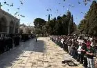 آلاف المصلين يؤدون صلاة الجمعة في الأقصى والاحتلال يعتقل أحد الحراس