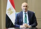وزارة التعليم تكلف لجنة مختصة بإدارة مدارس النيل المصرية الدولية