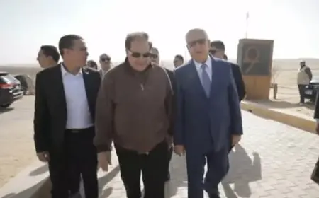 أبو العينين: العالم يشيد بالرئيس السيسي ويحترمه