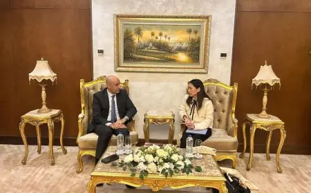 وزارة التعليم تسعى لتوسيع نطاق المدارس اليابانية في مصر