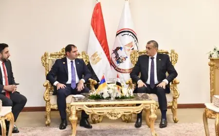 لقاء مثمر بين وزير الدولة للإنتاج الحربي ونظيره الأرميني لبحث تعزيز التعاون المشترك