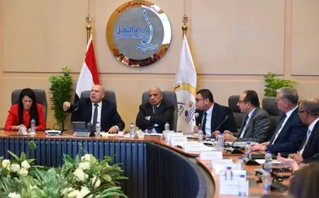 كامل الوزير يكشف أهمية تعزيز الصناعة المحلية وتخفيض الاعتماد على الاستيراد لضمان تواجدها القوي في السوق