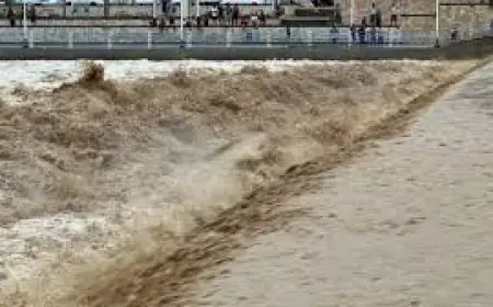 كارثة فيضانات مدمرة في إندونيسيا تودي بحياة 613 شخصاً وتشرد مليون شخص