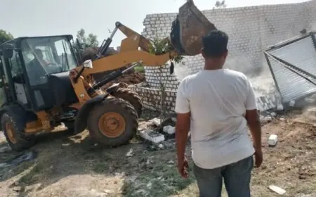 الزراعة تزيل 400 حالة تعدي على الأراضي الزراعية في أسبوع واحد فقط