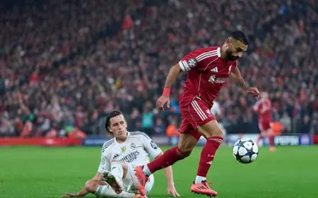 سلوت يكشف عن موعد انضمام محمد صلاح لمنتخب مصر في إطار الاستعداد لكأس أفريقيا