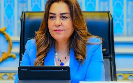 جهود وحدة السكان المركزية في وزارة التنمية المحلية لشهر نوفمبر 2025