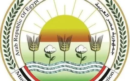 إغلاق وتشميع محل دواجن بالجيزة وضبط كميات كبيرة غير صالحة للاستهلاك الكيلو بجنيه