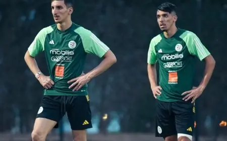 عادل بولبينة يكشف السبب وراء رغبة جميع المنتخبات في الانتصار على الجزائر