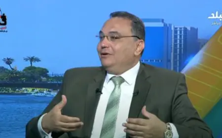 وليد هندي: تأثير الإنترنت في خلق جيل عنيف وزيادة معدل الجرائم