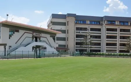 كل ما تحتاج معرفته عن حادثة الاعتداء على طلاب مدرسة الإسكندرية للغات وإحالتها للإشراف المالي