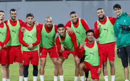 أوبتا تكشف عن 3 منتخبات عربية الأوفر حظًا للفوز بكأس الأمم الإفريقية