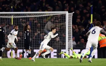 ليدز يونايتد يكسر حاجز الخسائر بانتصار ثمين على تشيلسي