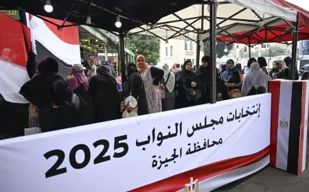 تقارير: اختفاء المخالفات الممنهجة في انتخابات الدوائر الملغاة وفقًا لعضو القومي لحقوق الإنسان