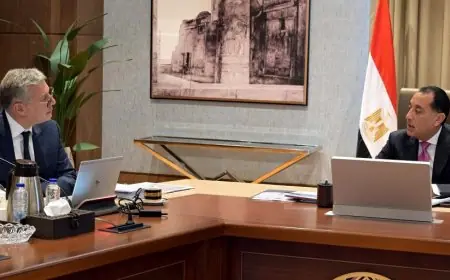 رئيس الوزراء يناقش ملفات مهمة لوزارة البترول مع الوزير