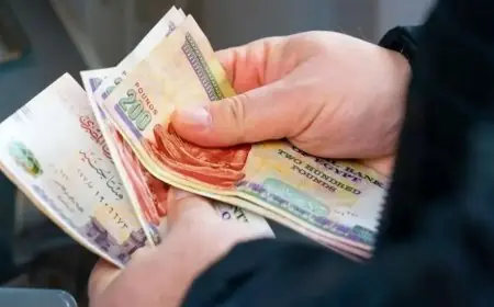 موعد صرف مرتبات ديسمبر 2025 للعاملين بالدولة: المالية تعلن التفاصيل