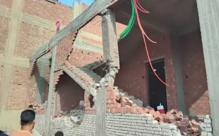 التفتيش والمتابعة بالتنمية المحلية تنفذ حملات مفاجئة في أحياء العجوزة والبدرشين بالجيزة