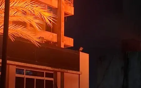 المجلس القومي للطفولة والأمومة يتزين بالبرتقالي دعماً لمناهضة العنف ضد المرأة والفتاة