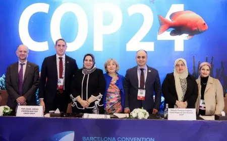 مصر تقود المكتب التنفيذي لاتفاقية برشلونة COP24 لمدة عامين