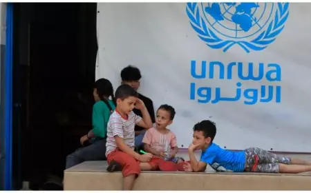 مصر تدعم تجديد ولاية الأونروا لحماية وخدمة اللاجئين الفلسطينيين
