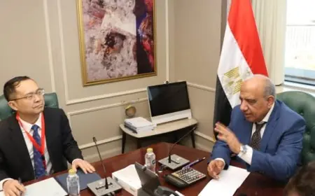 استقبال وزير الكهرباء لرئيس مجموعة XD الصينية لبحث توطين صناعة المهمات الكهربائية في البلاد