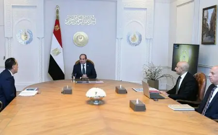 الرئيس السيسي يعلن زيادة المدارس اليابانية إلى 500 مدرسة في غضون خمس سنوات