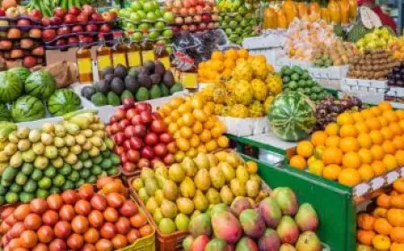 تشكيل مانشستر سيتي أمام سندرلاند في الدوري الإنجليزي وموقف مرموش