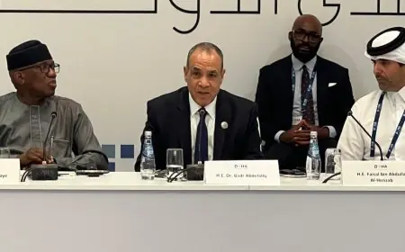 وزير الخارجية: الصومال يمثل عنصراً حيوياً في استراتيجية الأمن القومي المصري والعربي والأفريقي