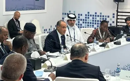 الصومال: دور حيوي في تعزيز الأمن القومي المصري يؤكده وزير الخارجية