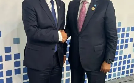 وزير الخارجية ورئيس الصومال يتباحثان سبل مكافحة الإرهاب بالمنطقة