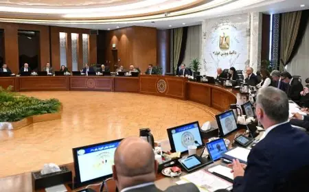 الحكومة تدرس تشديد العقوبات ضد مروجي الأكاذيب التي تضر بالاقتصاد الوطني