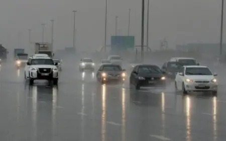 منظمة الصحة العالمية تؤكد على استقرار الوضع الصحي في مصر وأهمية الالتزام بالمصادر الرسمية فقط