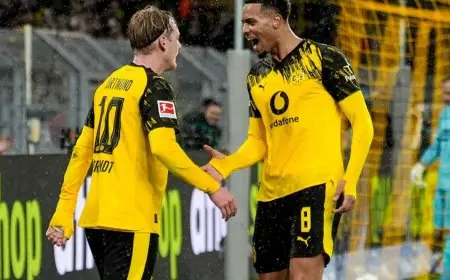 دورتموند يحقق فوزًا مثيرًا على هوفنهايم ويعزز موقعه في المركز الثالث بالبوندسليجا