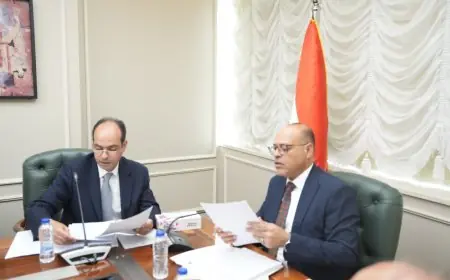 وزير العمل يجتمع مع قادة وزارة الصحة والمجلس الصحي ونقابة التمريض في مصر لبحث التعاون المرتقب