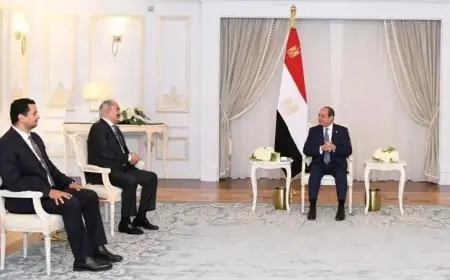 السيسي يشدد لحفتر على أهمية خروج القوات الأجنبية والمرتزقة من ليبيا لضمان استقرار المنطقة