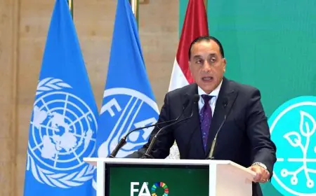 مصر تعزز تعاونها مع الفاو بتأكيد رئيس الوزراء على الالتزام الكامل