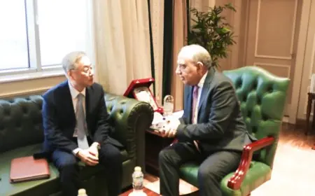 وزير الكهرباء والسفير الكوري يناقشان سبل تعزيز التعاون في مجال الطاقة المتجددة