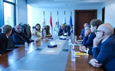 أمين اتحاد الكرة يلتقي وفد السفارة الفرنسية لتعزيز التعاون الرياضي المشترك