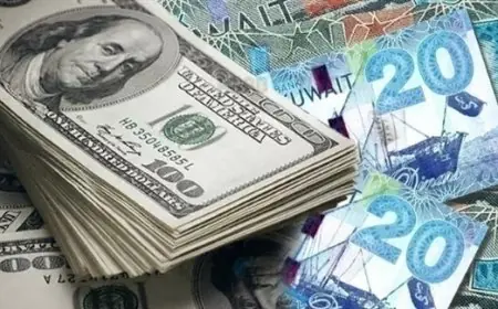 تعرّف على سعر الدولار مقابل الجنيه اليوم الثلاثاء 9 ديسمبر 2025 في البنوك المصرية