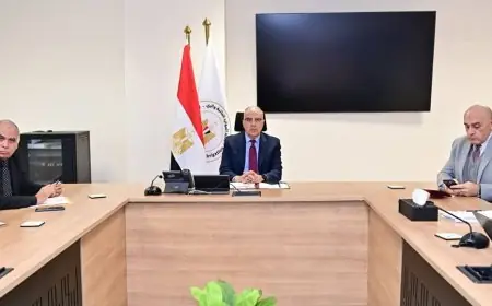 وزير الري يعلن إزالة 334 تعديًا على 34 ألف متر مربع في فرع رشيد بثلاث محافظات