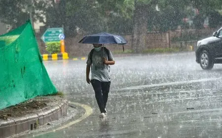 توقعات الأرصاد الجوية: أمطار وبرودة شديدة في القاهرة مع انخفاض الحرارة إلى 16 درجة